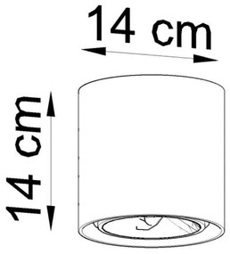 Spot CULLO 1xGU10/ES111/40W/230V