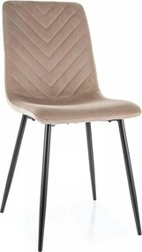 Scaun DAREN, bej inchis - Bluvel 40, stofa catifelata/metal, 45x39x91