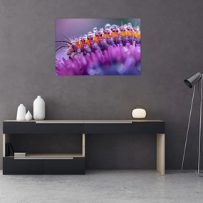 Tablou - Caterpillar (90x60 cm)