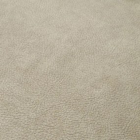 Set de 2 scaune design LUX Cliff, Mayer silver