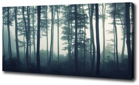 Imprimare tablou canvas Pădure în ceață