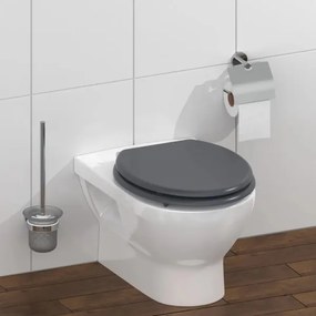 Schütte 80104 - Capac WC SPIRIT Antracit, SoftClose, din MDF