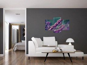 Tablou cu floare violetă (90x60 cm)