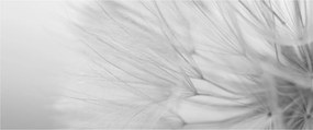 Tablou - Dandelion (120x50 cm)