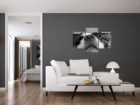 Tablou cu câine (90x60 cm)