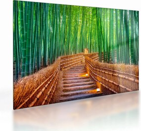 Tablou pe sticlă - Pădure de bambus japoneză (70x50 cm)
