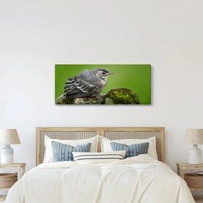 Tablou - Muscarul (120x50 cm)