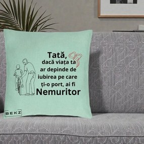 Cadou pentru Tata - Perna Personalizata Tata Nemuritor Bicicleta, 40x40 cm, Verde Menta, Husa Detasabila, Perna Inclusa, BEKZ®