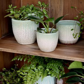 Ghiveci verde din portelan, cu model, H15/D16 cm , Fayence