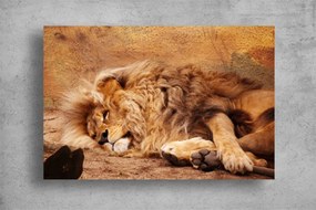 Tablouri Canvas Animale - Leul lenes
