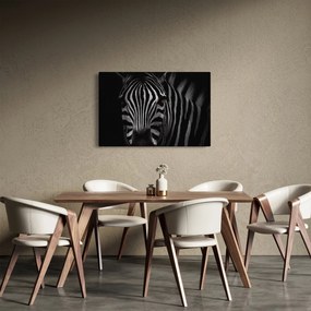 Tablou cu zebră (90x60 cm)