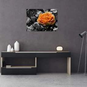 Tablou pe sticlă cu floare (70x50 cm)