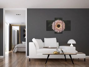 Tablou cu floare portocalie (90x60 cm)