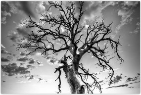 Tablou - Copacul, alb-negru (90x60 cm)