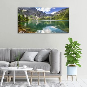 Pictură pe pânză Marine ochi tatry