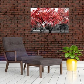 Tablou - Copacii roșii, Central Park, New York (90x60 cm)