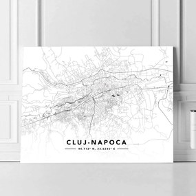 Cluj-Napoca · Street Map · Landscape