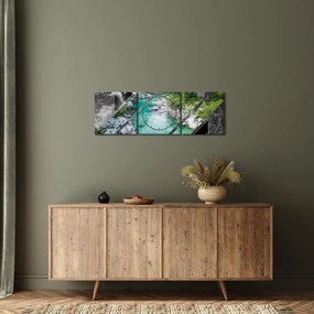 Tablou - Natura sălbatică (cu ceas) (90x30 cm)