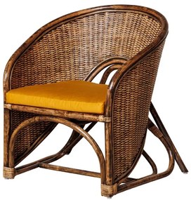 Fotoliu din rattan Veracruz