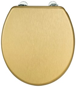 Capac WC 38 x 41 cm Aldeno – Wenko