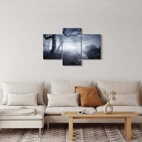 Tablou - Drum pin ceață (90x60 cm)