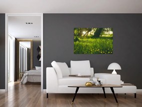 Tablou cu natura - lunca (90x60 cm)