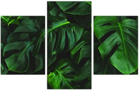 Tablou cu frunze Monstery (90x60 cm)