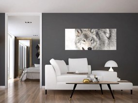 Tablou - Lupul în natură (120x50 cm)