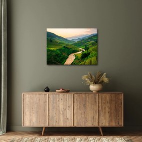 Tablou - Terase de orez II. (70x50 cm)