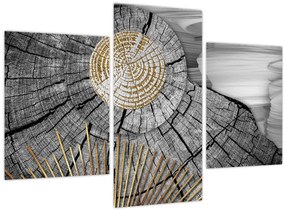 Tablou - Trunchiul copacului colaj (90x60 cm)