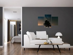 Tablou cu cerul nocturn și copaci (90x60 cm)