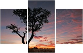 Tablou - Copac și nuanțe roșiatice (90x60 cm)