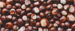 Tablou - Castane coapte (120x50 cm)