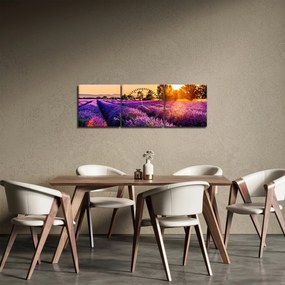 Tablou cu câmp de lavandă, Provincie (cu ceas) (90x30 cm)