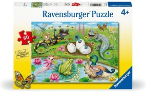 PUZZLE PUIUTI CARE IES DIN OUA 60 PIESE - RAVENSBURGER (RVSPC04131)
