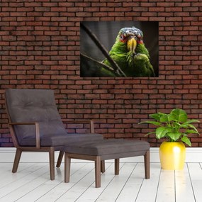 Tablou pe sticlă cu papagal (70x50 cm)