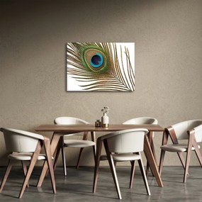 Tablou cu pene de păun (70x50 cm)