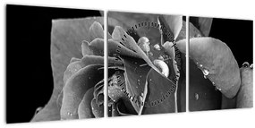 Tablou cu trandafir - albneagră (cu ceas) (90x30 cm)