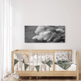 Tablou - iarbă de coadă de iepure pe masă (120x50 cm)
