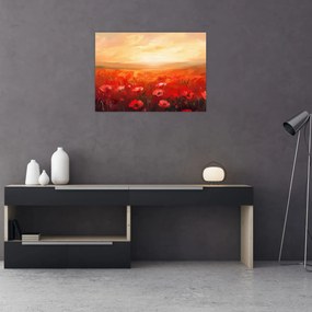 Tablou - Câmp de maci (70x50 cm)