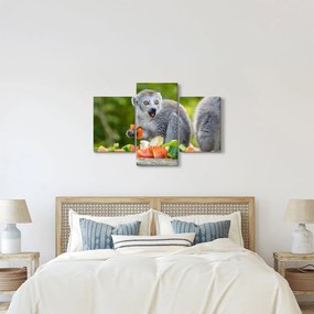Tablou cu lemur (90x60 cm)