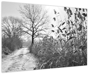 Tablou - Câmpuri în timpul iernii (90x60 cm)