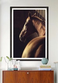 Tablou Framed Art Stunning Racehorse