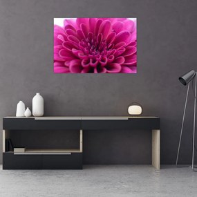 Tablou cu floare (90x60 cm)