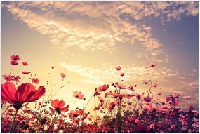 Tablou - Lunca cu flori (90x60 cm)