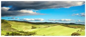 Tablou - Peisaj verde cu dealuri (120x50 cm)