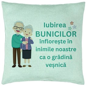 Perna Decorativa pentru Bunici 5, 40x40 cm, Verde Menta, Husa Detasabila, Burduf