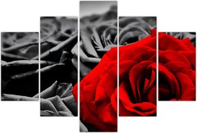 Tablou - Flori de trandafir (150x105 cm)