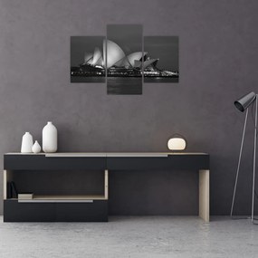 Tablou cu Opera din Sydney (90x60 cm)