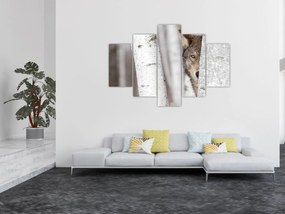 Tablou - Lup (150x105 cm)